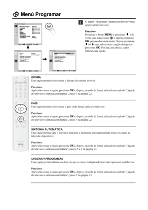 Page 14930
Menú Programar
O menú Programar permite modificar várias 
opções deste televisor.
Para isso: 
Pressione o botão 
MENU e pressione  v  três 
vezes para seleccionar   e depois pressione 
OK  para aceder a este menú. Depois, pressione  
v ou V para seleccionar a opção desejada e 
pressione 
OK. Por fim, leia abaixo como 
utilizar cada opção.
IDIOMA
Esta opção permite seleccionar o idioma dos menús no ecrã. 
Para isso: 
Após seleccionar a opção, pressione 
OK e, depois, proceda da forma indicada no...