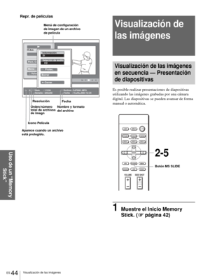 Page 202ES 44Visualización de las imágenes
Uso de un “Memory 
Stick”
Repr. de películas
Visualización de 
las imágenes
Visualización de las imágenes 
en secuencia — Presentación 
de diapositivas
Es posible realizar presentaciones de diapositivas 
utilizando las imágenes grabadas por una cámara 
digital. Las diapositivas se pueden avansar de forma 
manual o automática.
1Muestre el Inicio Memory 
Stick. (1 página 42)
Tamaño : 320x240           Num.      : 1/1234
Fecha    : 15.JUL.2003 12:34Archivo : SJP0001.MPG...