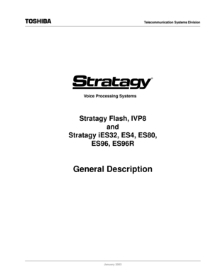 Page 1January 2003
Stratagy Flash, IVP8
and
Stratagy iES32, ES4, ES80,
ES96, ES96R
General Description
®
Voice Processing Systems 