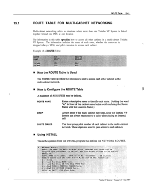 Page 25919.1ROUTE TABLE FOR MULTI-CABINET NETWORKING
Multi-cabinet networking refers to situations where more than one Toshiba VP System is linked
together behind one PBX at one location
The information in this table 
spec5es how to access all other cabinets in a multi-cabinet Toshiba
VP System.The information includes the name of each route, whether the route-can be
dropped (always YES), and pilot extension to access each cabinet.
Example of a 
ROUIB Table:
.j 