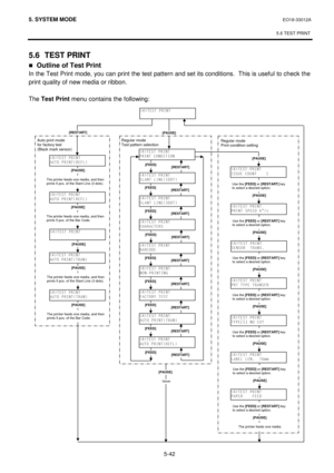 Page 2315. SYSTEM MODE  EO18-33012A 
 
5.6 TEST PRINT 
 
5-42 
5.6  TEST PRINT 
„Outline of Test Print 
In the Test Print mode, you can print the test pattern and set its conditions.  This is useful to check the 
print quality of new media or ribbon.  
 
The Test Print
 menu contains the following: 
 
 
 
 
 Regular mode 
Test pattern selection 
!7(67 35,17
$872 35,175()/
!7(67 35,17
$872 35,175()/
!7(67 35,17
!7(67 35,17
$872 35,1775$1
!7(67 35,17
$872 35,1775$1
[PAUSE] 
[RESTART] 
!7(67...