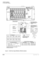 Page 160DK424 Installation
Power Supply Installation
5-10Strata DK I&M    5/99
1
2
3-24VPOWER
+5V
-5V
AC INFGDC OUT
+
BATT-
ON
OFF
FG Wire and Spade Lug
(Functional Ground)
DC Out Connector
FG Wire Holder –24V Circuit
Breakers
Power Indicator
LEDs (Green)
FG Screw (3)
R11 PCTU S11 S12
S13 S14 S15 S16
R11 S11RCTU S12 S13 S14 S15 S16
Bottom (2)
Mounting
Holes
Top (2)
Mounting
Holes
Jumper with wire must be 
installed only in base cabinet 
power supply using this 
connector
Jumper with no wire must be 
installed in...