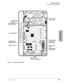 Page 79DK40i Installation
KSU Mounting Considerations
Strata DK I&M 5/993-11
DK40i Installation
Figure 3-6 DK40i Base KSU Interior
FG2
POWER SUPPLY ASSEMBLYMODELINPUT: AC127V 2.2A 60 HZOUTPUT: -27.3V 2.8A. -27.3V 0.2A
V. 1A 1996-05 00001TOSHIBA CORPORATION
TPSU16A
MADE INWARNINGHazardous voltage inside!If servicing required
remove A. C. plug.
12
+-BATTPN2 12AC DC
DC  POWER
TMAU2AOFF
ON
4238
Connect Expansion
Unit TB1 TO FG2
Expansion KSU
Cable ReceptacleImportant Notice
Battery Jumper
-24 Volt Circuit...