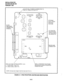 Page 148INSTALLATION-PM 
SECTION 200-096-206 
FEBRUARY1991 
50-PIN 
AMPHENOL 
CONNECTOR 
(FEMALE) / CUT W7 ONLY IF BGM IS CONNECTED TO 
PORT 07, CIRCUIT 8, SLOT 01. 
OPTIONAL 
EOCU, EQUIP 
FOR OCA 
FEATURE 
v ,‘i 
iw 
iw &G&-i 
,~~~ I ___-_---_--_____--____________ $, 
CUT W9 FOR 
DOOR PHONE 
OPTION (HDCB 
ON CIRCUIT 5) 
Illk I ;j BACKPLANE 
I j P80 
CONNECTOR 
: ; 
I ; 
___ 
0 
0 
UP 
g 
P90 
PESU 
3ING VOLTAGE OPTION (PORTS 1 & 2): ESTS: STANDARD TELEPHONE 
- = LOW LEVEL (13OV P-P) INTERFACE, ALWAYS EQUIPPED...