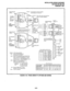 Page 274INSTALLATION-WIRING DIAGRAMS 
SECTION 200-096-209 
FEBRUARY1991 
DB-25 RS-232 NOTE 1: If connected to external modem. 
(MALE) 
.hYzzx= 
Y 
interchange pin 2 and pin 3. 
TE 2: Wire colors may vary with other 
types of modular adaptors. 
. EVEN PARITY PIOUS 
MAINTENANCE 
CARD t 
PORT 
TYSG  
TYCD 
6 
TYDTR 
TYDSR 
TYTD 
TYRD 3 1 
DB-25 RS-232 ADAPTOR PART NO. PPTC SMSG 
SMCD 
6 
SMDTR 
TO PRINTER SMTD 
SMRD 3  SMDSR 
1 
/ 
STATION MESSAGE 
DETAIL RECORDING 
PORT 
. NO-PARITY 
l I-STOP BIT 
NOTE 3: PIOU...