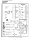 Page 73INSTALLATION-SYSTEM DESCRIPTION 
SECTlON200-096-202 
FEBRUARY1991 
DKSU 24/56/96 
PCOU 
LINE 
3AND4 
* 
7 LOOP START 
LINE PCB 
(4 CIRCUITS) 
LINE ‘Z-PAIR 
1 AND2 MODULAR 
JACK 
* 
7 
r 
- 
- 
- 
- 
- 
- 
- 
LOOP START LINES 
2-PAIR 
MOD CORD 
I  * FIC: 02LS2 
. USOC: RJ14C 
. REN: 0.28 - 
H 
,’ 
- 
H 
H 
H 1  2-PAIR 
MODCORD 
MODULAR ’ 
’ BLOCKS 
PEMU 
E&M 
TIE-LINE 
PCB 
2 OR 4 WIRE  CENTRAL OFFICE/ 
CENTREX/PBX 
E&M TIE LINES 
c 
. FIC: 
2-W; TLI 1 M 
4-W; TL31 M 
* usoc: 2-W; RJ2EX 
4-W; RJ2GX %PAIR...