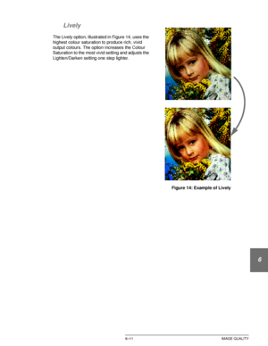 Page 139DOCUCOLOR 12 USER GUIDE6–11 IMAGE QUALITY
1
2
3
4
5
6
7 Lively
The Lively option, illustrated in Figure 14, uses the 
highest colour saturation to produce rich, vivid 
output colours. The option increases the Colour 
Saturation to the most vivid setting and adjusts the 
Lighten/Darken setting one step lighter.
Figure 14: Example of Lively 
Downloaded From ManualsPrinter.com Manuals 