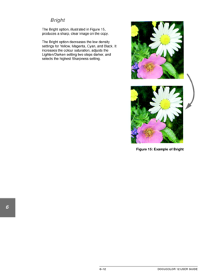 Page 140IMAGE QUALITY6–12 DOCUCOLOR 12 USER GUIDE
1
2
3
4
5
6
7 Bright
The Bright option, illustrated in Figure 15, 
produces a sharp, clear image on the copy. 
The Bright option decreases the low density 
settings for Yellow, Magenta, Cyan, and Black. It 
increases the colour saturation, adjusts the 
Lighten/Darken setting two steps darker, and 
selects the highest Sharpness setting. 
Figure 15: Example of Bright 
Downloaded From ManualsPrinter.com Manuals 