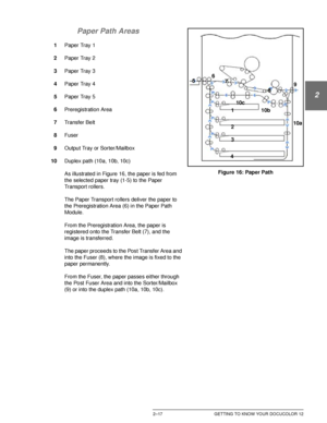 Page 49DOCUCOLOR 12 USER GUIDE2–17 GETTING TO KNOW YOUR DOCUCOLOR 12
1
2
3
4
5
6
7 Paper Path Areas
1Paper Tray 1
2Paper Tray 2
3Paper Tray 3
4Paper Tray 4
5Paper Tray 5
6Preregistration Area
7Transfer Belt
8Fuser
9Output Tray or Sorter/Mailbox
10Duplex path (10a, 10b, 10c)
As illustrated in Figure 16, the paper is fed from 
the selected paper tray (1-5) to the Paper 
Transport rollers.
The Paper Transport rollers deliver the paper to 
the Preregistration Area (6) in the Paper Path 
Module.
From the...