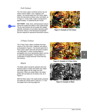 Page 79DOCUCOLOR 12 USER GUIDE4–5 BASIC COPYING
1
2
3
4
5
6
7 Full Colour 
The Full Colour option combines all four dry ink 
(toner) colours (black, cyan, magenta, and 
yellow). You should select the Full Colour option 
when the document contains colour and black, as 
in Figure 4. In this mode, output is produced at 
approximately 12 copies/prints per minute. 
KEY POINT:Gold, silver, and fluorescent colours 
cannot be copied accurately on this copier/printer. 
The dry inks (toners) do not contain the metallic...