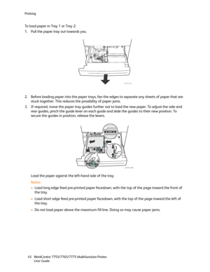 Page 43Printing
WorkCentre 7755/7765/7775 Multifunction Printer
User Guide 43
To load paper in Tray 1 or Tray 2:
1. Pull the paper tray out towards you.
2. Before loading paper into the paper trays, fan the edges to separate any sheets of paper that are 
stuck together. This reduces the possibility of paper jams.
3. If required, move the paper tray guides further out to load the new paper. To adjust the side and 
rear guides, pinch the guide lever on each guide and slide the guides to their new position. To...