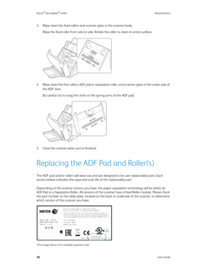 Page 37Xerox® DocuMate® 4440 Maintenance
28User Guide
3. Wipe clean the feed rollers and scanner glass in the scanner body. 
Wipe the feed roller from side to side. Rotate the roller to clean its entire surface.
4. Wipe clean the free rollers, ADF pad or separation roller, and scanner glass in the under side of 
the ADF door.
Be careful not to snag the cloth on the spring arms of the ADF pad.
5. Close the scanner when you’re finished.
Replacing the ADF Pad and Roller(s)
The ADF pad and/or rollers will wear out...