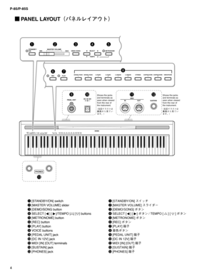 Page 4P-85/P-85S
4
 PANEL LAYOUT¢ÍÉçè ž¢Ä£
q [STANDBY/ON] switch
w [MASTER VOLUME] slider
e [DEMO/SONG button
r SELECT [ 
 ] [  ]/TEMPO  [] [ ] buttons
t [METRONOME] button
y [REC] button
u [PLAY] button
i VOICE buttons
o [PEDAL UNIT] jack
!0
 [DC IN 12V] jack
!1
 MIDI [IN] [OUT] terminals
!2
 [SUSTAIN] jack
!3
 [PHONES] jack
-
40(
+

 2./
¢(G åµÄx
jØT’_oM
‡b{£Shows the jacks 
and terminals as 
seen when viewed 
from the rear of 
the instrument.
¢(G åµÄx...