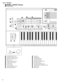 Page 6Tyros / TRS-MS01
6
 
TAP TEMPO
REGISTRATIO
FADE
IN / OUTREC TOP REW FFLOOP
AU TO
FILL IN OTS 
LINK
ACMP
INTRO MAIN VARIATION BREAK ENDING / rit.
SYNC
STOPSYNC
START
METRONOMEMASTER VOLUME
MAX
MAX
INPUT VOLUME
FREEZE
TALK EFFECTVOCAL
HARMONYMIC
SETTING VH TYPE
SELECT
TRANSPOSE TEMPOSTOP
RESET
1234
MIC
STYLE CONTROL
SONG CONTROL
REGIST.
BANK
MIXING 
CONSOLEBALANCE
CHANNEL
ON / OFF
MIN
MIN
OVER SIGNALMIC / LINE IN
SONGPOWERON /    OFF
RESETPART PART
A
B
C
D
E
DIRECT
ACCESS
1234
LCD CONTRAST
PITCH BEND...