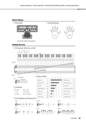 Page 49Ukázka zpěvníku / Vzorka spevníka / Song Book (Kottafüzet) példa / Vzorčna pesmarica
49PSR-E353
Before Playing...
 Sit Correctly Finger Numbering
Left Right3
1 1 53
4
4
5 2 2
Sit near the middle of the keyboard.
Reading the Score
 The Keyboard, Staff Lines, and Clef
BDE FGA CBDE FGA BD CEFGA CB DE FGA CBDE FGA CC
M
i
d
d
l
e
 
Treble clef
Bass clef
 Time Signatures and Counting Time
4/4 time 2/2 time 2/4 time
3/4 time 6/8 time 9/8 time
1 octave
2 black keys 3 black keys
 Accidentals
   (Sharp)  Raise a...