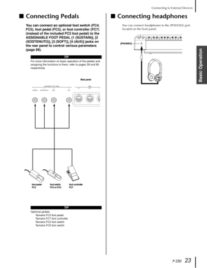 Page 23P-25023
Connecting to External Devices
Basic Operation
■Connecting Pedals
You can connect an optional foot switch (FC4, 
FC5), foot pedal (FC3), or foot controller (FC7) 
(instead of the included FC3 foot pedal) to the 
ASSIGNABLE FOOT PEDAL [1 (SUSTAIN)], [2 
(SOSTENUTO)], [3 (SOFT)], [4 (AUX)] jacks on 
the rear panel to control various parameters 
(page 69).
■Connecting headphones
You can connect headphones to the [PHONES] jack 
located on the front panel.
TIP
For more information on basic operation...