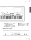 Page 15P-25015
Names and Functions
Basic Operation
W[AC INLET] .................................  page 16
XASSIGNABLE FOOT PEDAL 
[1 (SUSTAIN)][2 (SOSTENUTO)]
[3 (SOFT)][4 (AUX)] .................... page 23
YMIDI[IN][OUT][THRU] .. page 18—20,22
Z[HOST SELECT] ............... page 18—20,22
[[TO HOST].................................. page 20
\[USB] ...........................................page 19
]OUTPUT [R][L/MONO]...............page 17
_INPUT [R][L/MONO] ..................page 17
■Rear Panel Controls
MIDI...