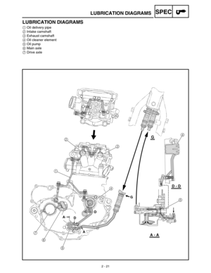 Page 58 
2 - 21
SPEC
 
LUBRICATION DIAGRAMS
LUBRICATION DIAGRAMS 
1 
Oil delivery pipe 
2 
Intake camshaft 
3 
Exhaust camshaft 
4 
Oil cleaner element 
5 
Oil pump 
6 
Main axle 
7 
Drive axle
7
6
543 2
14
5
A - A
D - D
G
G
D
D A
A 