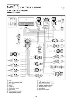 Page 2817-28
E
–+ELECFUEL CONTROL SYSTEM
FUEL CONTROL SYSTEM
WIRING DIAGRAM
#4
#3
#2
#1
5
7
P/W
P/W
P/W
F
O
B/O
P/G
L/R
B/O
B/O
B/O
B/Y
P/GB/O
B/OR/Y
R/Y
R/Y
R/Y
R/Y
R/Y
Pu/G
Pu/Y
Pu/B
Pu/R
O
OP
R/YR/YR/Y
B/O
B/O
B/Y
B/O
B/GB/G
L/RBrL
Y
R/YR/Y
R B
R/Y
R/Y
B/YB/Y B/Y B/O
B/Y
B/O
B/O
B/O
B/Y
O  P
Y
P
OPu/R
Pu/GPu/B
B/O Pu/G Pu/B
Pu/R Bu/Y
B/YR/Y
B/YB/OP/G
R/Y
Pu/Y
P
B/O
R 
R R 
B/O
B/OB/O
B
BB
R/Y
B
B
L
B
L
B
B
B
63
2 1
B E
E
E
EC
D0 4
R/Y
R/Y R/YR
P
P
O R
R R O
 3  : P/W
 5  : B/Y
 7  : Y
 8  : O
17 :L/B
18 :...