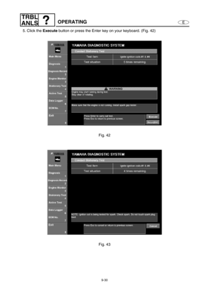 Page 3939-30
E
TRBL
ANLS
OPERATING
5. Click the Execute
 button or press the Enter key on your keyboard. (Fig. 42)
Fig. 42
Fig. 43 