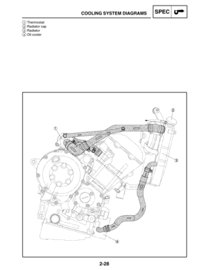 Page 562-28
1Thermostat
2Radiator cap
3Radiator
4Oil cooler
COOLING SYSTEM DIAGRAMSSPEC 