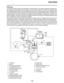 Page 12
haha FEATURES
1-3
EAS23P1100
FI SYSTEM
The fuel pump delivers fuel to the fuel injector via the fuel filter. The pressure regulator maintains the 
fuel pressure that is applied to the fuel injector at 324 kPa (3.24 kgf/cm ², 47.0 psi). Accordingly, when 
the energizing signal from the ECU energizes the fuel injector, the fuel passage opens, causing the fuel 
to be injected into the intake manifold only during the time the passage remains open. Therefore, the 
longer the length of time the fuel injector...