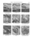 Page 42
Chapter 1 Tune-up and routine maintenance

1-15

13.4a The oil drain plug (arrow) is located

on the left side of the engine (XV535

shown; others similar) 
13.4b Loosen the drain plug with

a socket... 
13.4c ... and let the oil drain into a pan

13.5a On XV535 models, remove the Allen

bolts (arrows) ... 
13.5b ... and remove the cover

13.5c On XV700 through 1100 models,

remove the Allen bolts (arrows)...

13.6a ... and remove the cover together

with its two O-rings 
13.6b Pull the filter element...