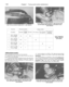 Page 55
1-28

Chapter 1 Tune-up and routine maintenance

28.9b Take up excessive freeplay with the cable adjusters 
28.12a Adjust rear spring preload on 1984 and later XV700

and 750 models with the adjuster on the bottom of each

shock absorber

Front fork

Air pressure

1

2

3

4 
39.2 ~ 78.5 kPa

(0.4-0.8 kg/cm2,

5.7-11.4 psi)

39.2 ~ 78.5 kPa

(0.4-0.8 kg/cm2,

5.7-11.4 psi)

58.8 - 98.1 kPa

(0.6-1.0 kg/cm2,

8.5-14.2 psi)

78.5-117.7 kPa

(0.8-1.2 kg/cm2,

11.4-17.1 psi) 
Rear shock absorber

Spring...