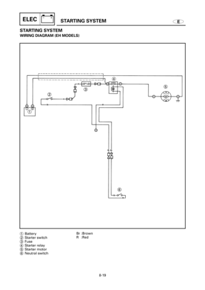 Page 474ESTARTING SYSTEMELEC
STARTING SYSTEM
WIRING DIAGRAM (EH MODELS)
124
35
6-+
1Battery
2Starter switch
3Fuse
4Starter relay
5Starter motor
6Neutral switchBr :Brown
R :Red
8-19 