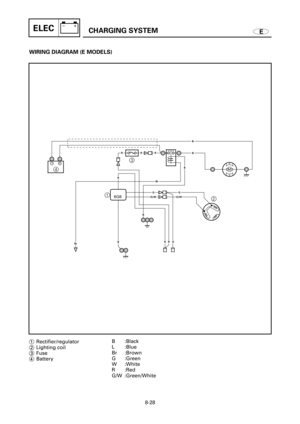 Page 492ECHARGING SYSTEMELEC
WIRING DIAGRAM (E MODELS)
43
2 1M
N
S
GG/WG/WG
B
BrRRGB
RRR
B
B
B
BrR
-+
6G8
1Rectifier/regulator
2Lighting coil
3Fuse
4BatteryB :Black
L :Blue
Br :Brown
G :Green
W :White
R :Red
G/W :Green/White
8-28 