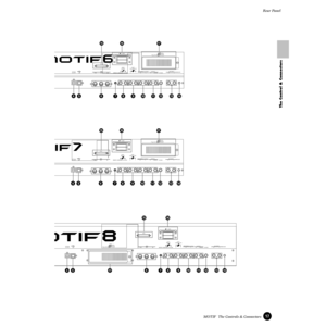 Page 1717MOTIF  The Controls & Connectors Rear Panel
The Control & Connectors
Rear Panel
OPTICAL
OUTPUT USB THRUMIDI
BREATHSUSTAIN FOOT
SWITCHFOOT
CONTROLLEROUTPUTOUT
INASSIGNABLE
OUTPUTASSIGN ABL ELMONO
PHONESAD
INPUT
GAIN1R L
RR
L SCSICARD
3.3V
2
GREEN
YELLOW
ORANGE3
21Plug- in SLOT
OPTICAL
OUTPUT
USBTHRUMIDI
OUT
IN
SCSI
BREATHSUSTAIN FOOT
SWITCHFOOT
CONTROLLER
ASSIGN ABL E1 CARD
3.3V
2OUTPUT ASSIGNABLE
OUTPUTLMONO
PHONESAD
INPUT
GAINRL
RR
L
GREEN
YELLOW
ORANGE3
21Plug- in SLOT
OPTICAL
OUTPUTUSBTHRUMIDI
OUT...