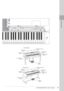 Page 13CVP-509/505/503/501 Owner’s Manual13
Panel Controls
$
%
^
&¡*
(
£
∞
º™
¢
B3 C4 D4 E4 F4 G4 A4 B4 C5 D5 E5 F5 G5 A5 B5 C6 D6 E6 F6 G6 A6 B6 C7
CVP-509/505
CVP-503/501
Music rest Page 15
I/O connectors Page 99 Guide lamps
P
age 64
Music rest Page 15
Pedals
Page 32
Key 
cover
P age 14
Key 
cover
P age 14
I/O connectors Page 99 Pow
er switch
P age 14
Guide lamps
P age 64
Pow er switch
P age 14
Sheet music braces
P
age 15 Pedals
P
age 32
Sheet music braces
P
age 15 