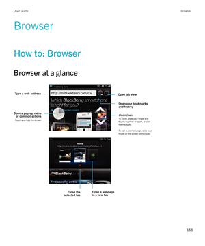 Page 163Browser
How to: Browser
Browser at a glance
 
 
User GuideBrowser
163  