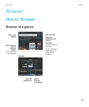 Page 163Browser
How to: Browser
Browser at a glance
 
 
User GuideBrowser
163  