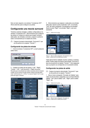 Page 7575
Tutorial 7: Producción surround (sólo Cubase)
Esto es todo respecto a la ventana “Conexiones VST”. 
Ahora está listo para configurar sus pistas.
Configurando una mezcla surround
Tenemos nuestras entradas y salidas configuradas en la 
ventana “Conexiones VST”, ahora tenemos que configurar 
las pistas en Cubase de manera que tengan nombres 
adecuados, las entradas correctas y saquen la señal de 
audio correctamente por la tarjeta de sonido.
Configurando las pistas de entrada
1.Cierre la ventana...