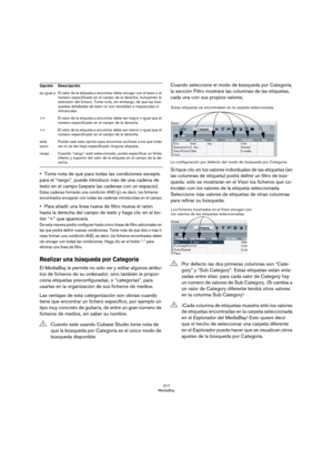 Page 317317
MediaBay
Tome nota de que para todas las condiciones excepto 
para el “rango”, puede introducir más de una cadena de 
texto en el campo (separe las cadenas con un espacio).
Estas cadenas formarán una condición AND (y), es decir, los ficheros 
encontrados encajarán con todas las cadenas introducidas en el campo.
Para añadir una línea nueva de filtro mueva el ratón 
hasta la derecha del campo de texto y haga clic en el bo-
tón “+” que aparecerá.
De esta manera podrá configurar hasta cinco líneas de...
