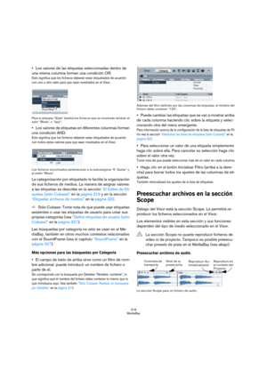 Page 318318
MediaBay
Los valores de las etiquetas seleccionadas dentro de 
una misma columna forman una condición OR.
Esto significa que los ficheros deberán estar etiquetados de acuerdo 
con uno u otro valor para que sean mostrados en el Visor.
Para la etiqueta “Style” (estilo) los ficheros que se mostrarán tendrán el 
valor “Blues” o “Jazz”.
Los valores de etiquetas en diferentes columnas forman 
una condición AND.
Esto significa que los ficheros deberán estar etiquetados de acuerdo 
con todos estos valores...