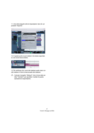Page 6767
Tutorial 6: Missaggio ed Effetti
11.Una volta eseguite tutte le impostazioni, fare clic sul 
pulsante “Esporta”.
12.A questo punto si può vedere il mix stereo esportato 
su una nuova traccia stereo.
13.Per verificare che i suoni del mixdown audio siano cor-
retti mettere in Solo la traccia audio del mixdown.
!Caricare il progetto “Mixing 9” che si trova nella car-
tella “Tutorial 6” per ascoltare i risultati di questa 
operazione di esportazione. 