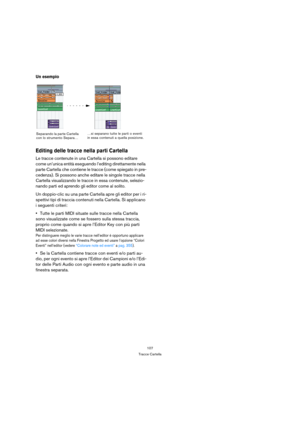 Page 107107
Tracce Cartella
Un esempio
Editing delle tracce nella parti Cartella
Le tracce contenute in una Cartella si possono editare 
come un’unica entità eseguendo l’editing direttamente nella 
parte Cartella che contiene le tracce (come spiegato in pre-
cedenza). Si possono anche editare le singole tracce nella 
Cartella visualizzando le tracce in essa contenute, selezio-
nando parti ed aprendo gli editor come al solito.
Un doppio-clic su una parte Cartella apre gli editor per i ri-
spettivi tipi di traccia...