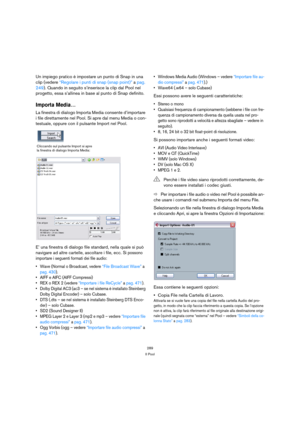 Page 289289
Il Pool
Un impiego pratico è impostare un punto di Snap in una 
clip (vedere “Regolare i punti di snap (snap point)” a pag. 
249). Quando in seguito s’inserisce la clip dal Pool nel 
progetto, essa s’allinea in base al punto di Snap definito.
Importa Media…
La finestra di dialogo Importa Media consente d’importare 
i file direttamente nel Pool. Si apre dal menu Media o con-
testuale, oppure con il pulsante Import nel Pool.
E’ una finestra di dialogo file standard, nella quale si può 
navigare ad...