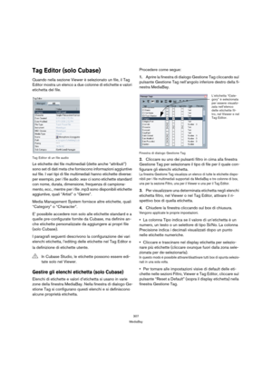 Page 307307
MediaBay
Tag Editor (solo Cubase)
Quando nella sezione Viewer è selezionato un file, il Tag 
Editor mostra un elenco a due colonne di etichette e valori 
etichetta del file.
Tag Editor di un file audio
Le etichette dei file multimediali (dette anche “attributi”) 
sono set di dati meta che forniscono informazioni aggiuntive 
sul file. I vari tipi di file multimediali hanno etichette diverse: 
per esempio, per i file audio .wav ci sono etichette standard 
con nome, durata, dimensione, frequenza di...