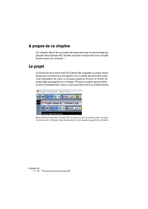 Page 60CUBASE SE
5 – 60 Principes de base de Cubase SE
À propos de ce chapitre
Ce chapitre décrit les concepts de base ainsi que la terminologie ap-
pliquée dans Cubase SE. Veuillez prendre le temps de le lire complè-
tement avant de continuer !
Le projet
Le format de document natif de Cubase SE s’appelle un projet. Avant 
de pouvoir commencer à enregistrer, lire ou éditer des données audio, 
il est nécessaire de créer un nouveau projet ou d’ouvrir un fichier de 
projet déjà sauvegardé sur le disque. Plusieurs...