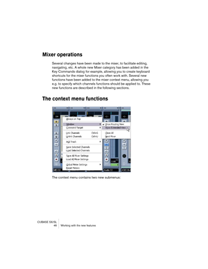 Page 46CUBASE SX/SL
 46 Working with the new features
Mixer operations
Several changes have been made to the mixer, to facilitate editing, 
navigating, etc. A whole new Mixer category has been added in the 
Key Commands dialog for example, allowing you to create keyboard 
shortcuts for the mixer functions you often work with. Several new 
functions have been added to the mixer context menu, allowing you 
e.g. to specify which channels functions should be applied to. These 
new functions are described in the...