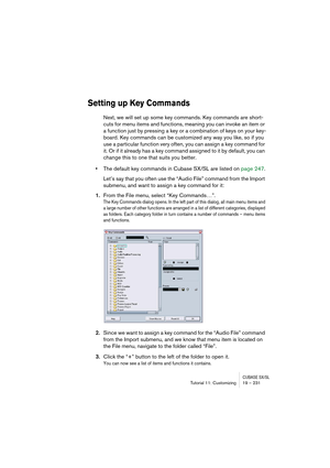 Page 231CUBASE SX/SLTutorial 11: Customizing19 – 231
Setting up Key Commands
Next, we will set up some key commands. Key commands are short-
cuts for menu items and functions, meaning you can invoke an item or 
a function just by pressing a key or a combination of keys on your key-
board. Key commands can be customized any way you like, so if you 
use a particular function very often, you can assign a key command for 
it. Or if it already has a key command assigned to it by default, you can 
change this to one...