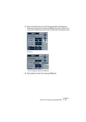 Page 83CUBASE LETutorial 2: Recording and playing back MIDI 7 – 83
4.Click on the blue value line in the Transpose field in the Inspector.
A fader appears, allowing you to transpose the MIDI part up or down in semitones. You 
can also use the up/down arrows to the right in the value field to set transpose values.
Click here...
...to set a transpose value for the MIDI part.
5.Start playback to hear the transposed MIDI part. 