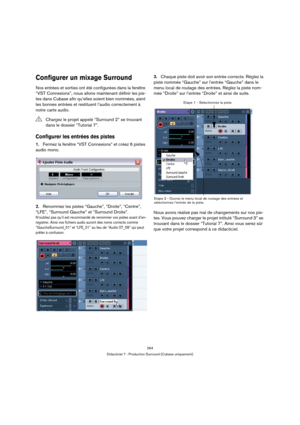 Page 264264
Didacticiel 7 : Production Surround (Cubase uniquement)
Configurer un mixage Surround
Nos entrées et sorties ont été configurées dans la fenêtre 
“VST Connexions”, nous allons maintenant définir les pis-
tes dans Cubase afin qu’elles soient bien nommées, aient 
les bonnes entrées et restituent l’audio correctement à 
notre carte audio.
Configurer les entrées des pistes
1.Fermez la fenêtre “VST Connexions” et créez 6 pistes 
audio mono.
2.Renommez les pistes “Gauche”, “Droite”, “Centre”, 
“LFE”,...