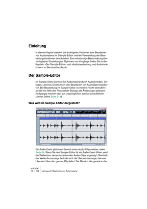 Page 212NUENDO
16 – 212 Lehrgang 9: Bearbeiten von Audiomaterial
Einleitung
In diesem Kapitel werden die wichtigsten Verfahren zum Bearbeiten 
von Audiomaterial im Sample-Editor und die Verwendung der Bear-
beitungsfunktionen beschrieben. Eine vollständige Beschreibung aller 
verfügbaren Einstellungen, Optionen und Vorgänge finden Sie in den 
Kapiteln »Der Sample-Editor« und »Audiobearbeitung und Audiofunk-
tionen« im Benutzerhandbuch.
Der Sample-Editor
Im Sample-Editor können Sie Audiomaterial durch...