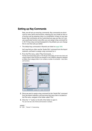 Page 224NUENDO18 – 224 Tutorial 11: Customizing
Setting up Key Commands
Next, we will set up some key commands. Key commands are short-
cuts for menu items and functions, meaning you can invoke an item or 
a function just by pressing a key or a combination of keys on your key-
board. Key commands can be customized any way you like, so if you 
use a particular function very often, you can assign a key command for 
it. Or if it has a key command assigned to it by default, you can change 
this to one that suits you...