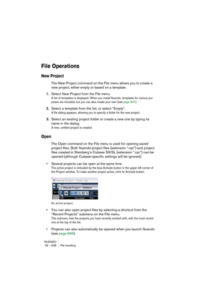 Page 638NUENDO
29 – 638 File handling
File Operations
New Project
The New Project command on the File menu allows you to create a 
new project, either empty or based on a template:
1.Select New Project from the File menu.
A list of templates is displayed. When you install Nuendo, templates for various pur-
poses are included, but you can also create your own (see page 641).
2.Select a template from the list, or select “Empty”.
A file dialog appears, allowing you to specify a folder for the new project.
3.Select...