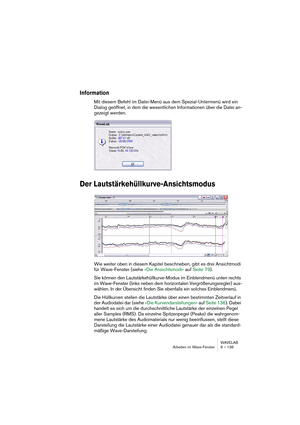 Page 135WAVELAB
Arbeiten im Wave-Fenster 6 – 135
Information
Mit diesem Befehl im Datei-Menü aus dem Spezial-Untermenü wird ein 
Dialog geöffnet, in dem die wesentlichen Informationen über die Datei an-
gezeigt werden.
Der Lautstärkehüllkurve-Ansichtsmodus
Wie weiter oben in diesem Kapitel beschrieben, gibt es drei Ansichtmodi 
für Wave-Fenster (siehe »Die Ansichtsmodi« auf Seite 79).
Sie können den Lautstärkehüllkurve-Modus im Einblendmenü unten rechts 
im Wave-Fenster (links neben dem horizontalen...